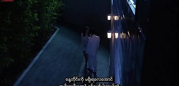  Pleasure or Pain (2013) (myanmar subtitle)
